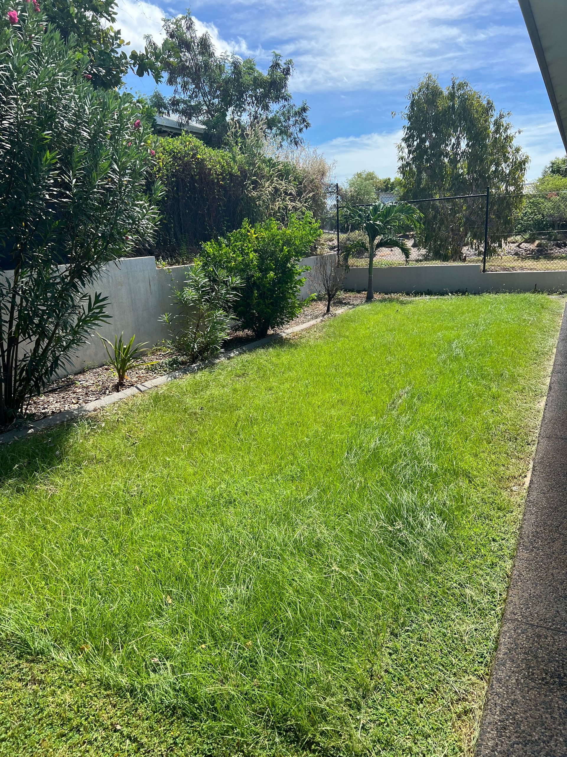 Lush green lawn next to a concrete wall and a house, with bushes and trees under a blue sky — Green Scene NT in Darwin, NT