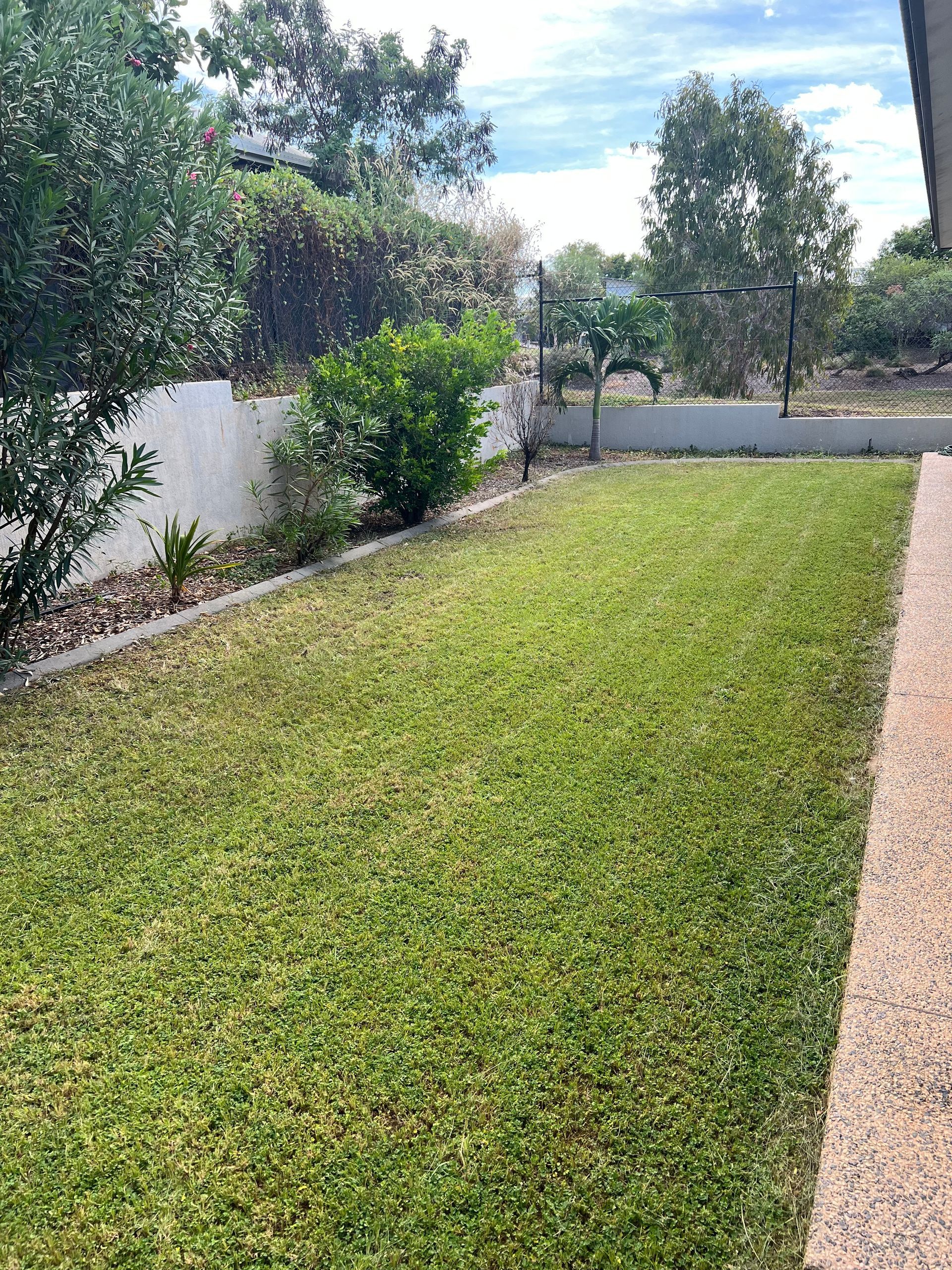 Green grass lawn with shrubs and trees near a white wall under a partly cloudy sky — Green Scene NT in Darwin, NT