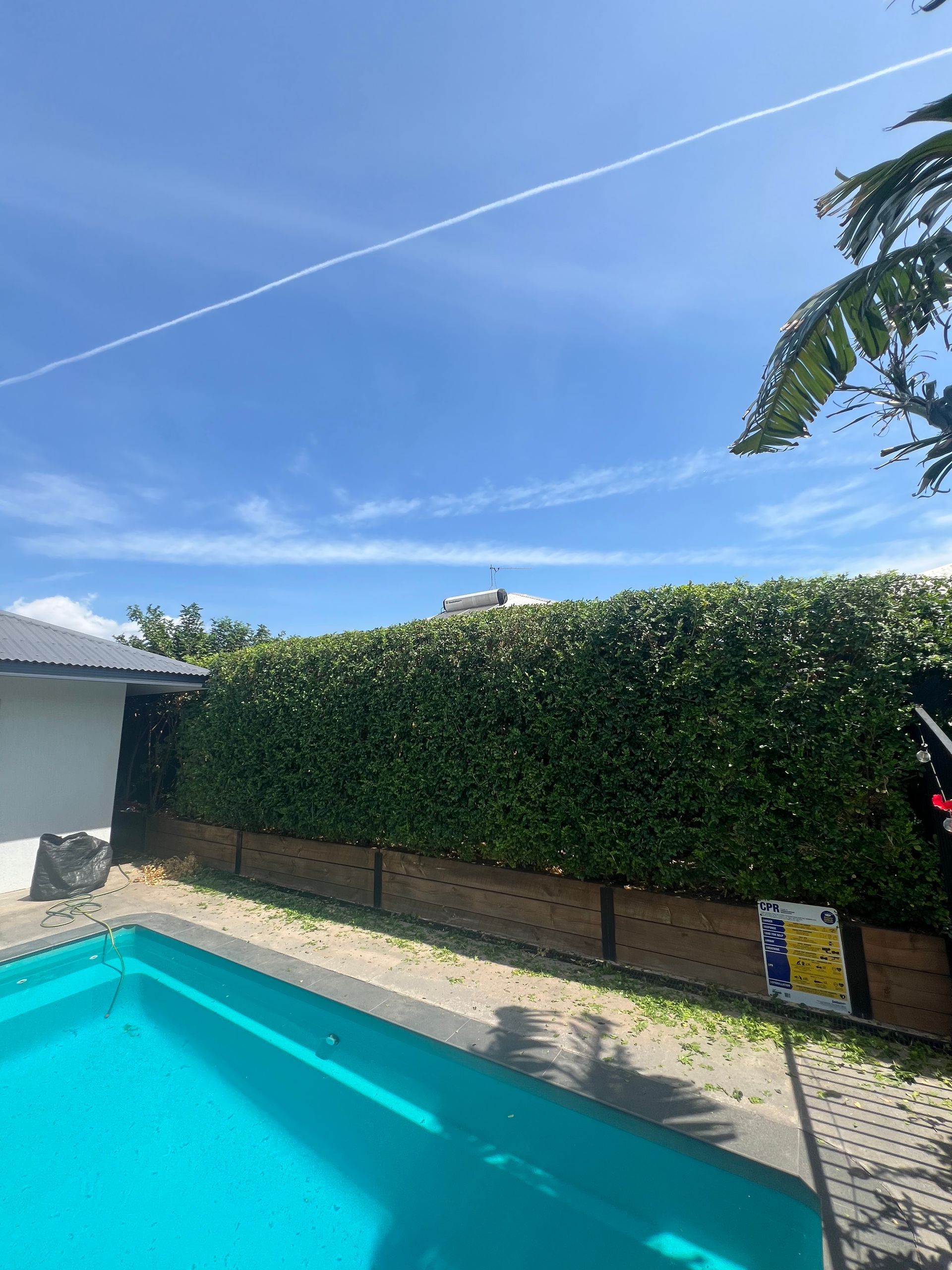 Blue pool and sky, green hedge fence, wooden planter, and a white building under a sunny sky — Green Scene NT in Darwin, NT