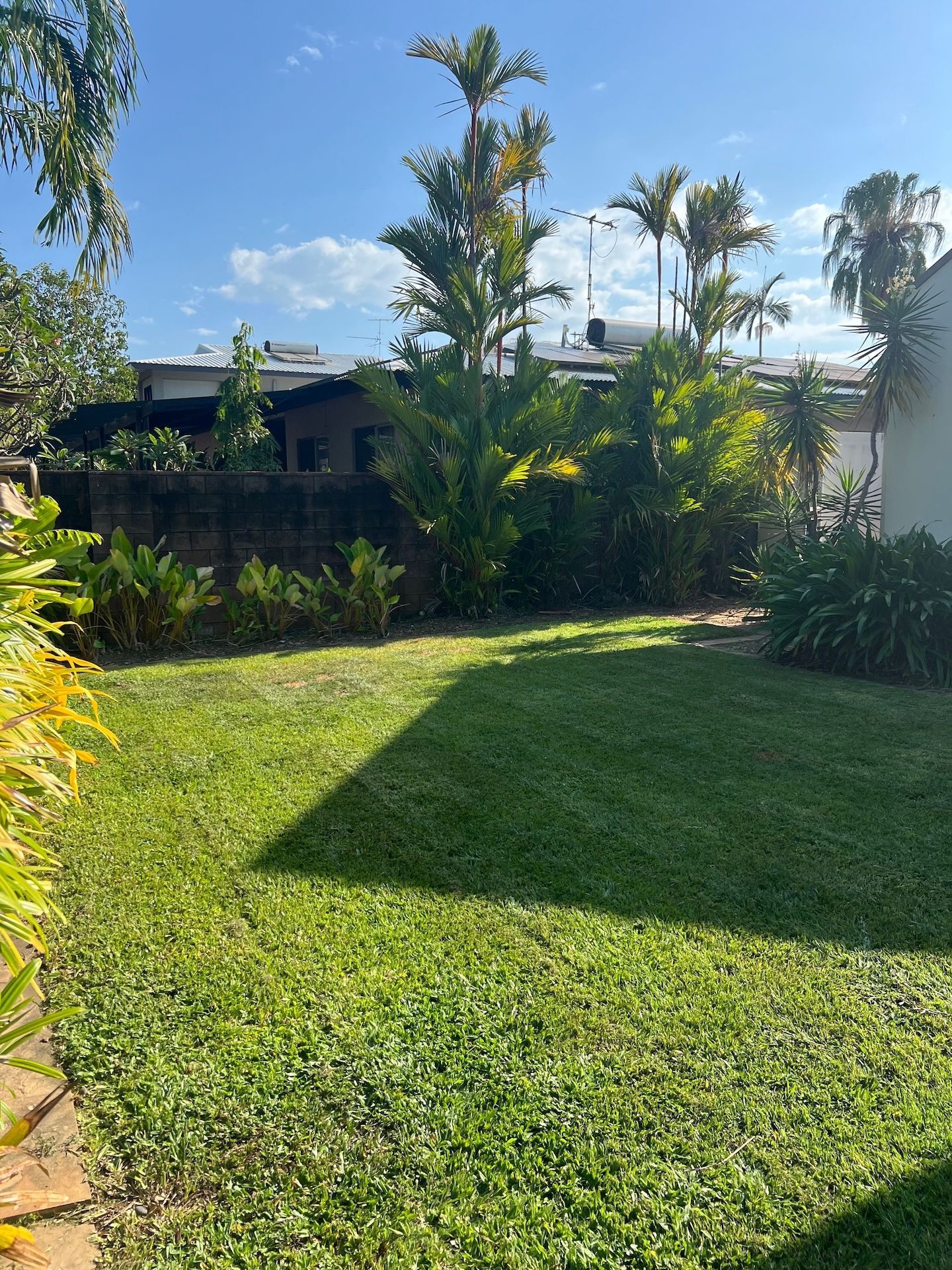 Lush green backyard with grass and various plants. A shadow is cast across the grass. Blue sky in the background — Green Scene NT in Darwin, NT