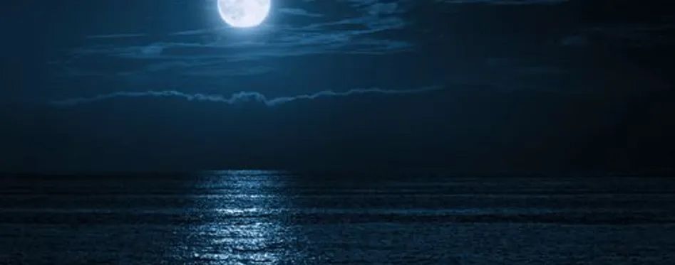 A full moon is shining over the ocean at night, advertising night fishing with Reel Groovy Experiences.