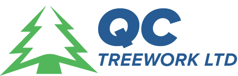 qc treework ltd logo