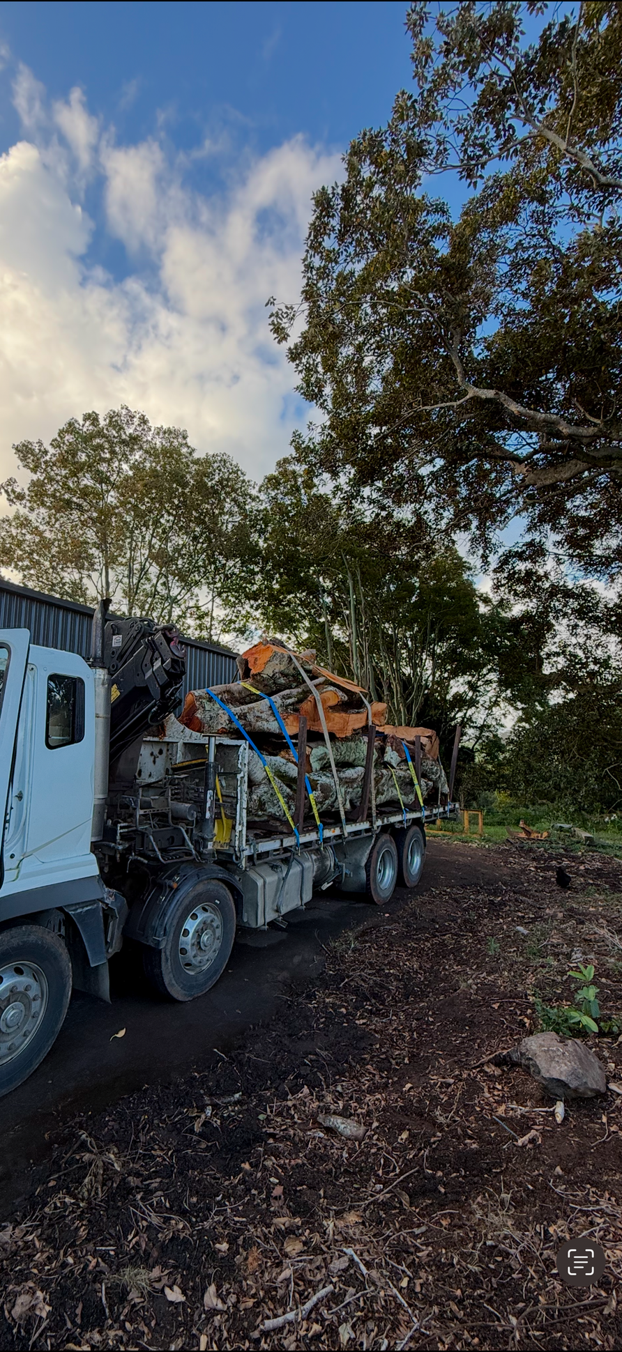 A Truck Has a Pile of Logs Strapped To It — Brodees Crane Trucks in Murwillumbah, NSW