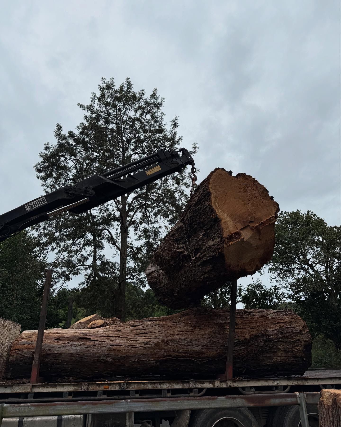 A Truck With Tree Stumps On The Tray — Brodees Crane Trucks in Murwillumbah, NSW