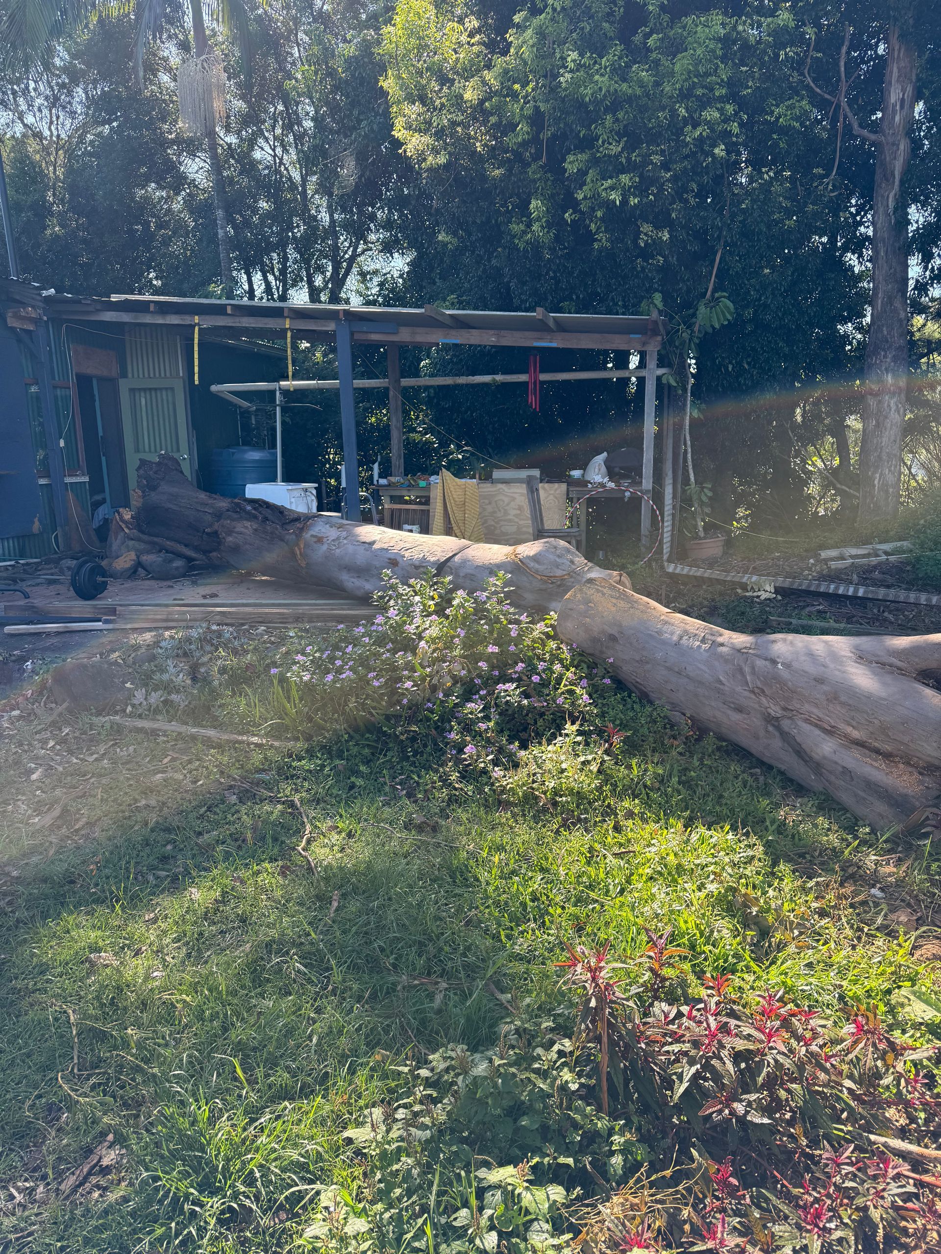 A Large Tree Has Fallen Down — Brodees Crane Trucks in Ballina, NSW