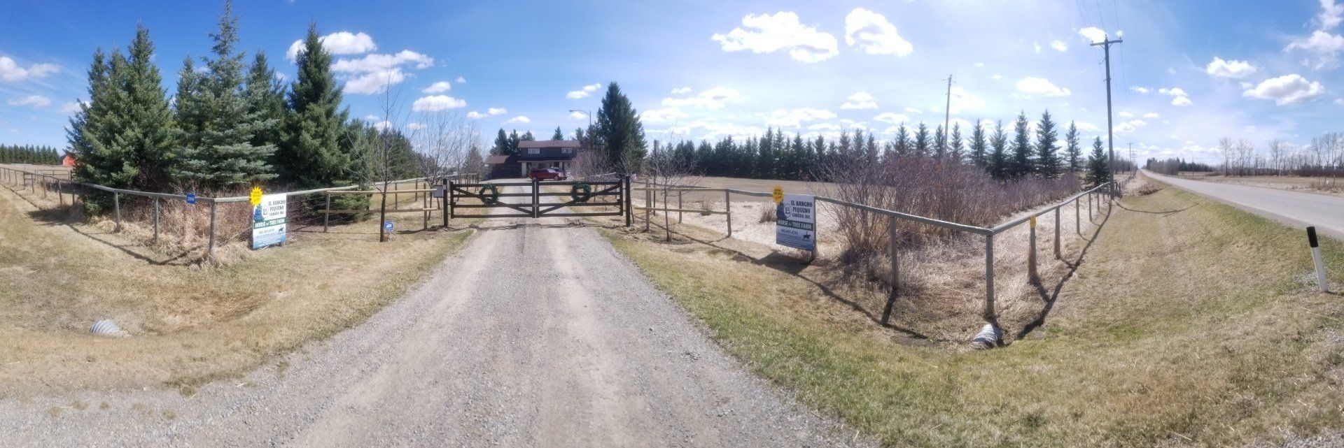 A dirt road going through a field with trees on both sides.