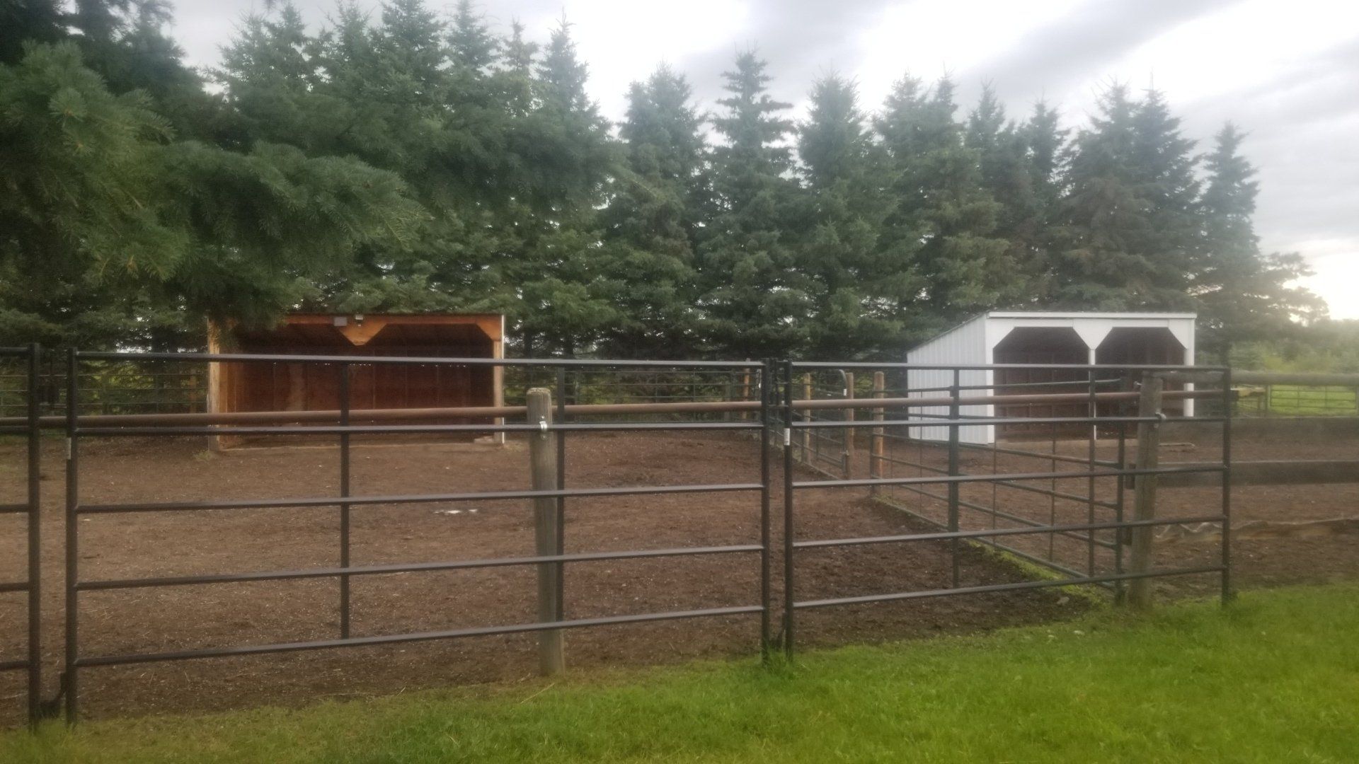 A horse stable with a fence and a shed in the background.