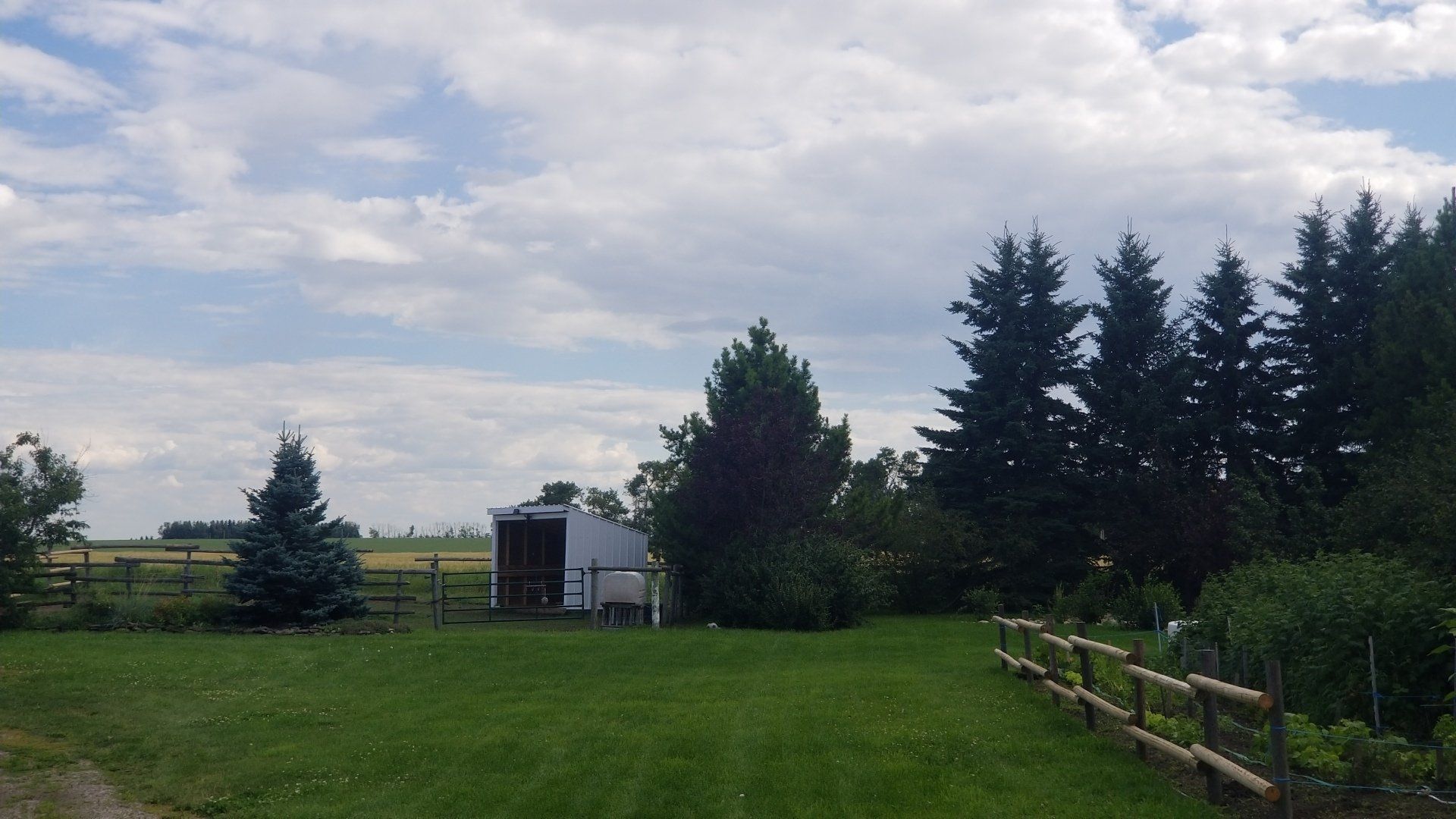 A white barn is sitting in the middle of a lush green field surrounded by trees.