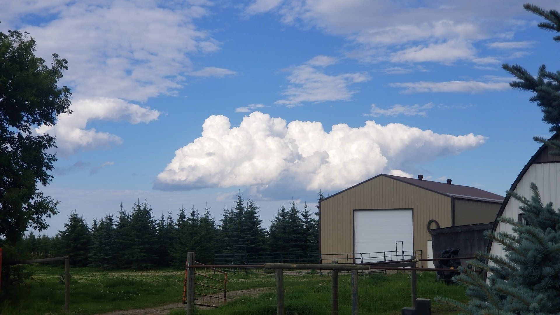 A cloud shaped like a heart is floating in the sky above a barn