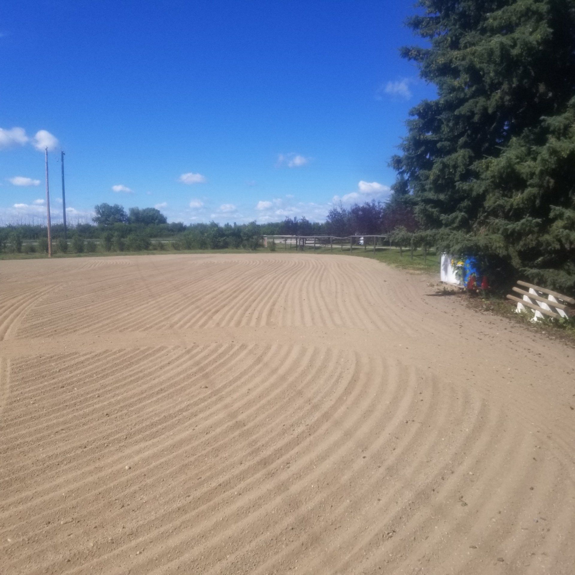 A dirt field with a fence and trees in the background on a sunny day.