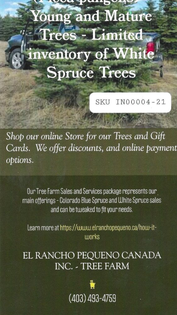 An advertisement for young and mature trees limited inventory of white spruce trees