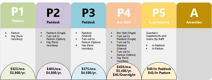 A table showing the different levels of p1 p2 p3 p4 and p5