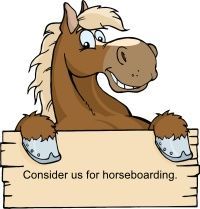 A cartoon horse is peeking over a wooden sign.