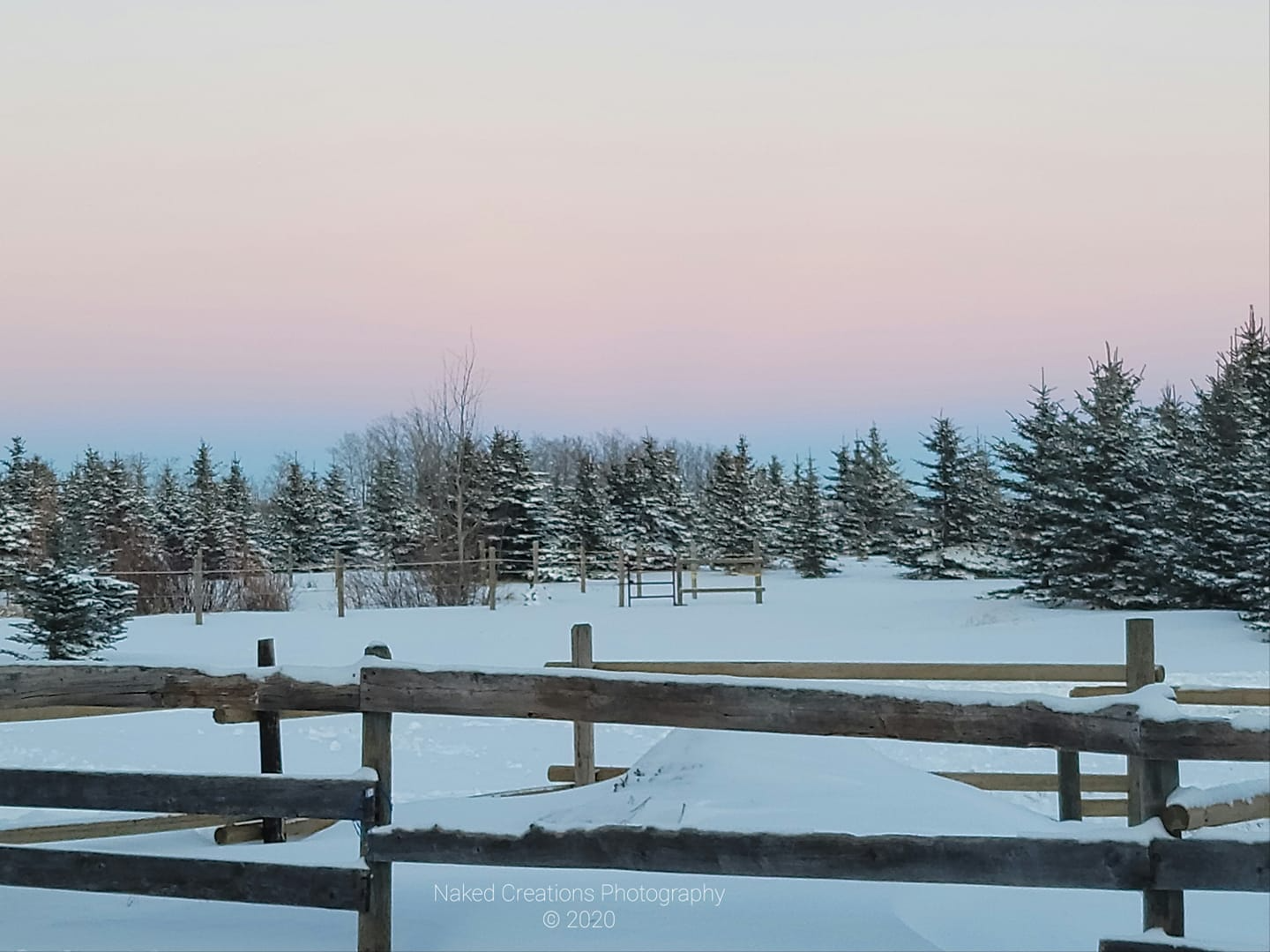 A snowy field with a wooden fence in the foreground