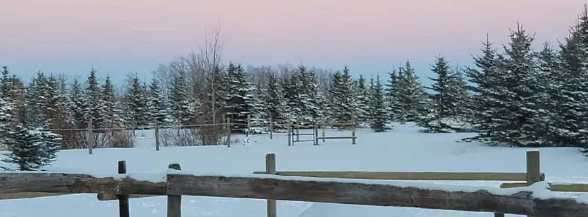 A snowy forest with a wooden fence in the foreground