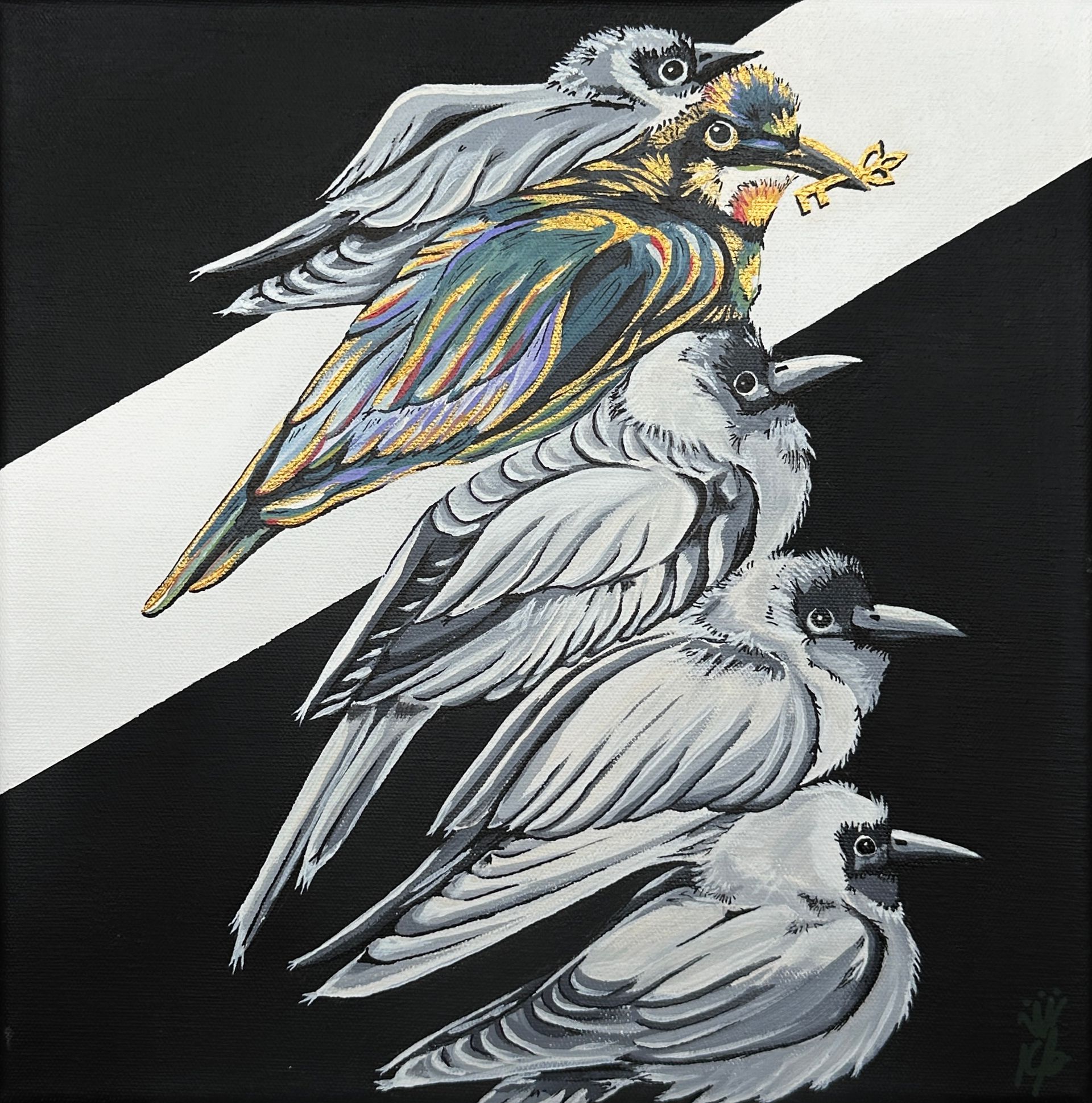 Five birds stacked diagonally on a black and white background. The middle bird is colorful.