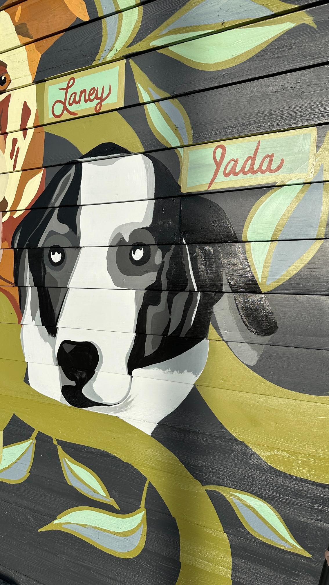 Mural of a black, white, and gray dog's face with the names 