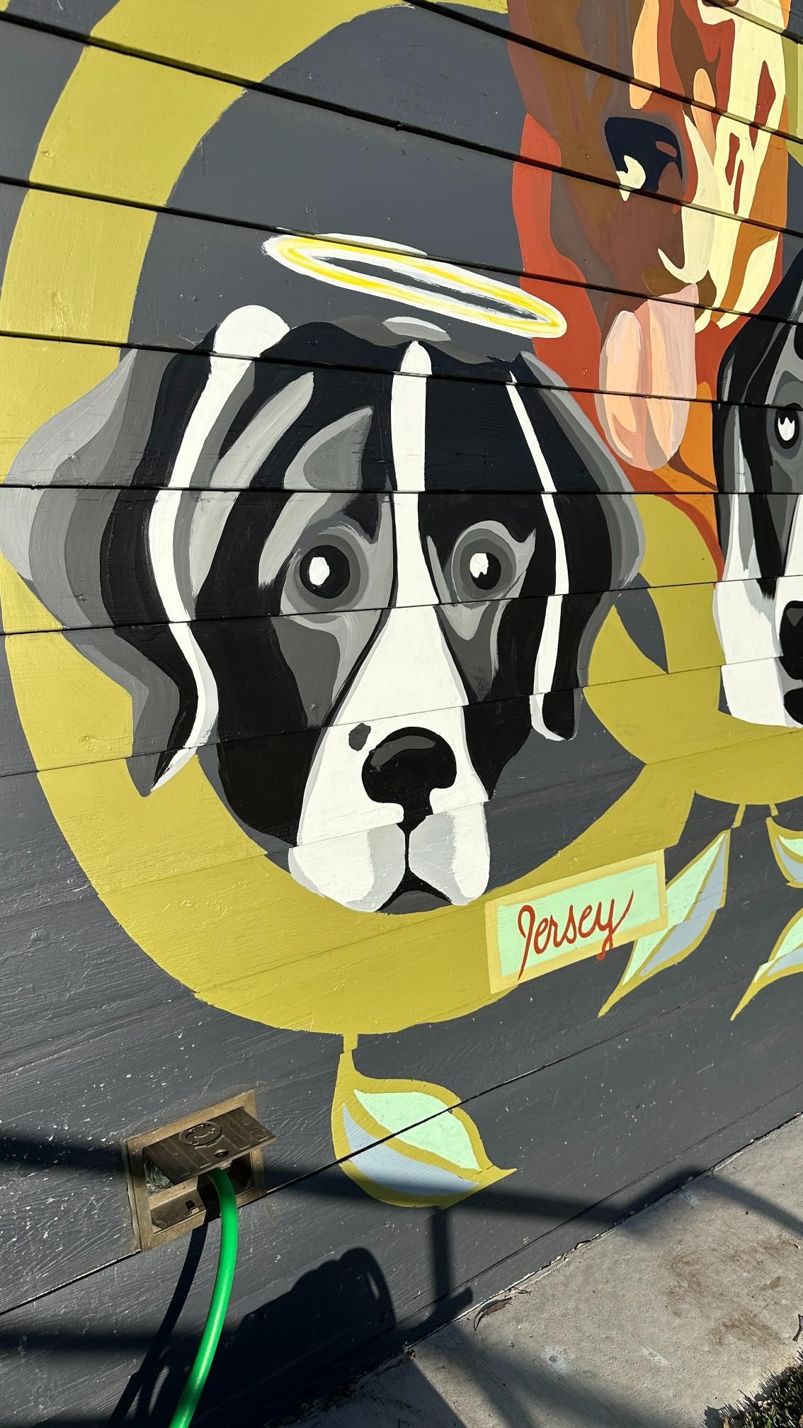 Mural of dog's face with halo; 
