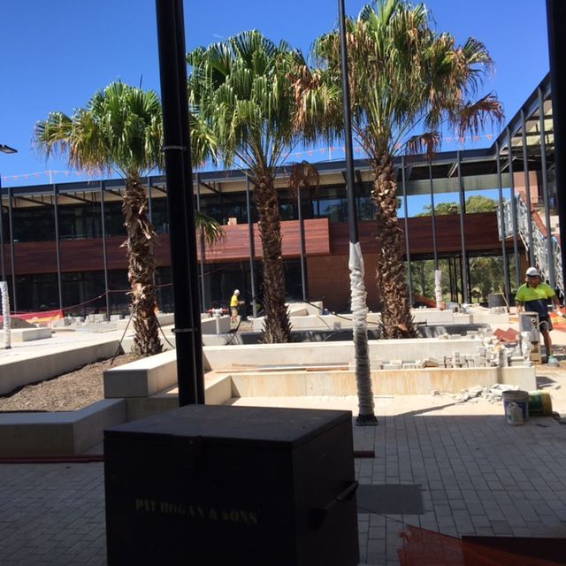 An outdoor area with a building and three palm trees and men working — Commercial Painting Group in Kembla Grange, NSW