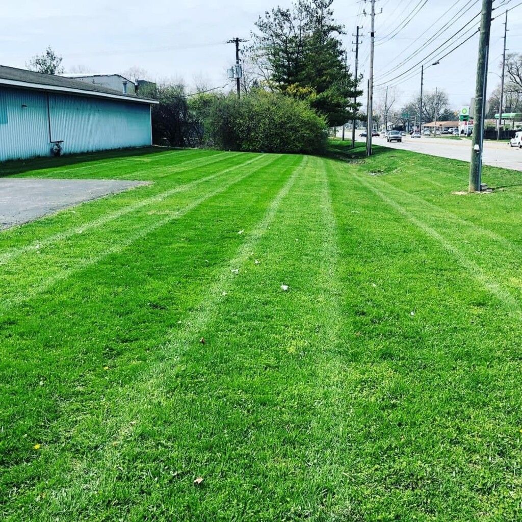 Green lawn with freshly mowed stripes. Building and street in background, with power lines overhead.