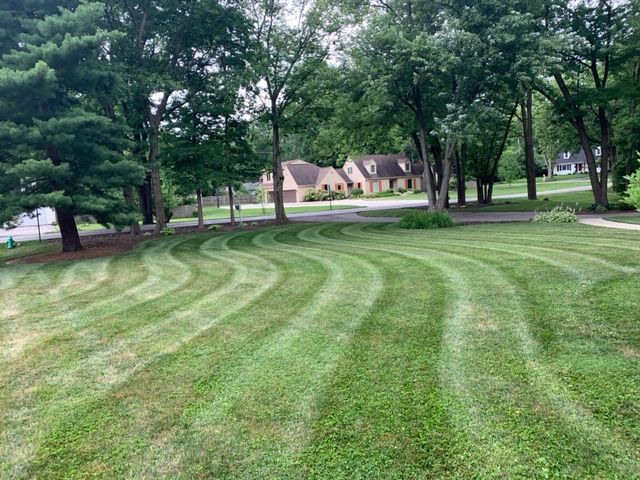 Green lawn with curved mowing pattern in front of houses with mature trees.