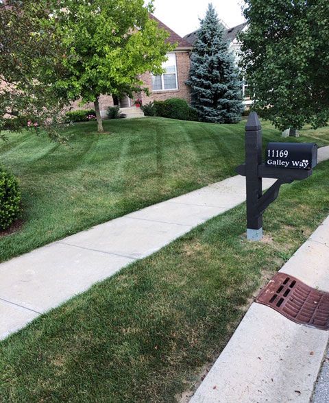 A well-manicured lawn with a sidewalk, mailbox, and house in the background.