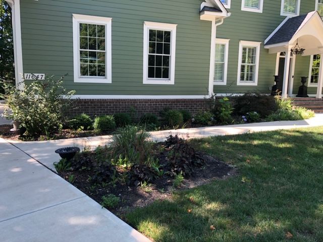 Green house with white trim, brick base, and a sidewalk. A small front garden is visible.
