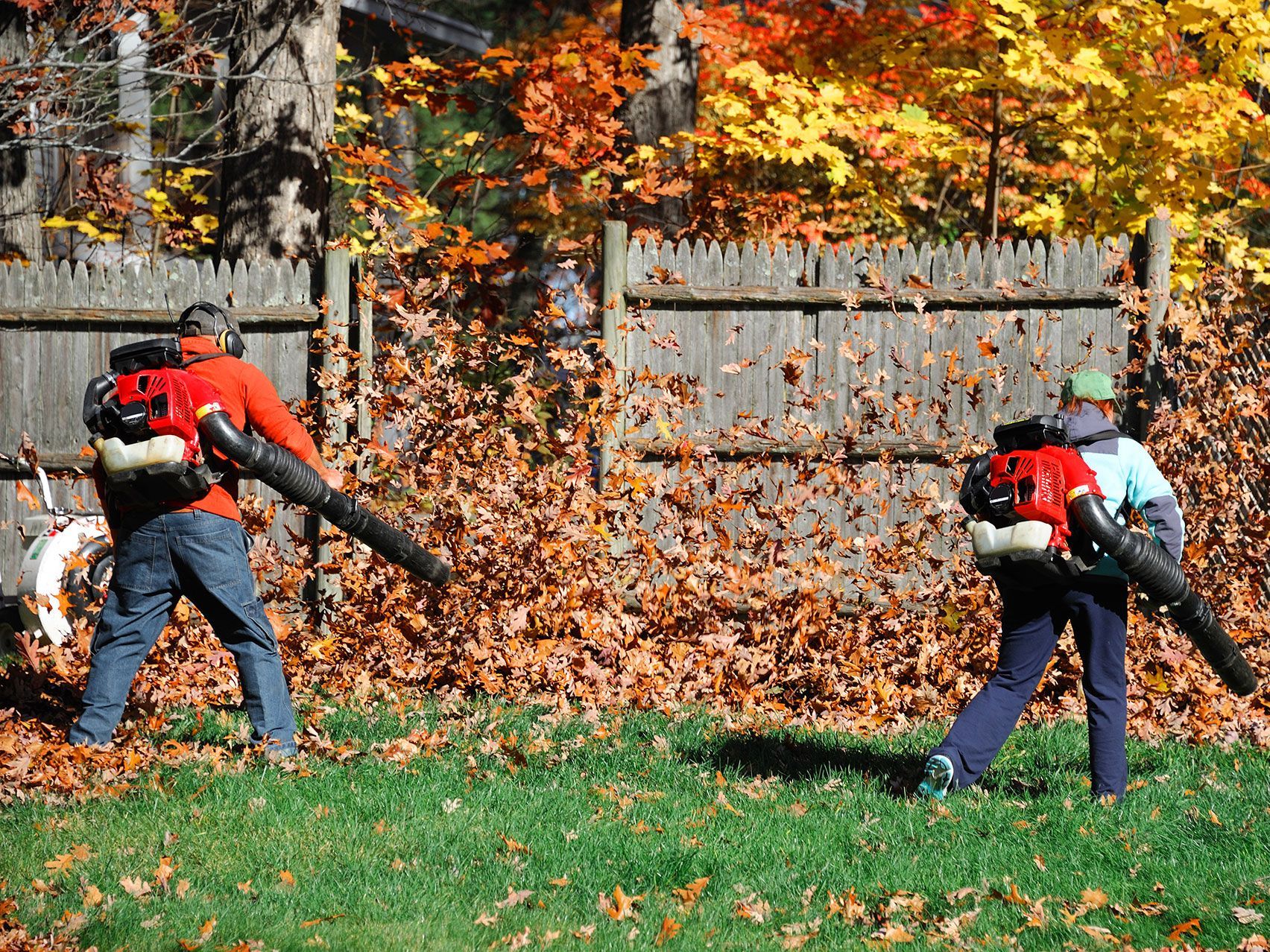 Two people using leaf blowers to clear autumn leaves from a yard near a wooden fence.