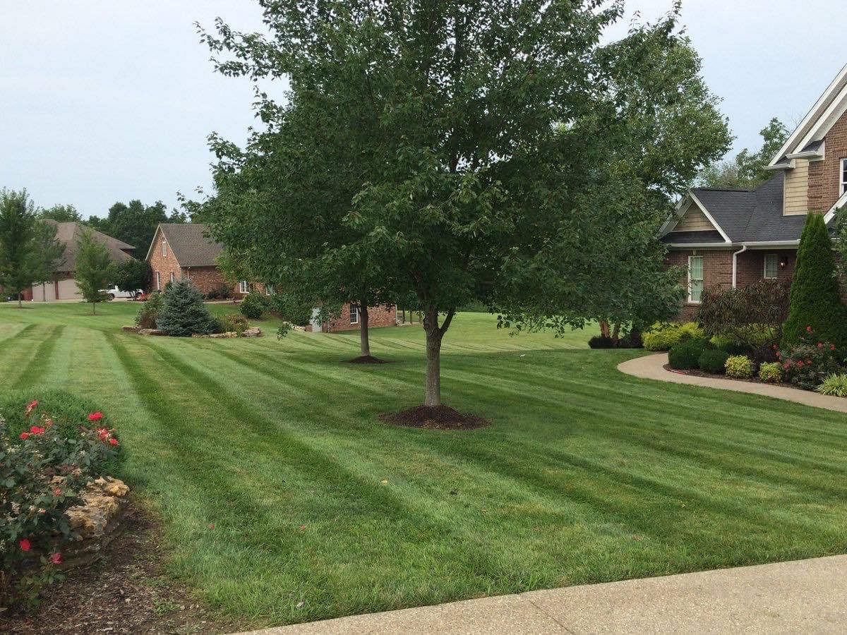 Well-manicured green lawn with striped mowing pattern, trees, and brick houses in the background.