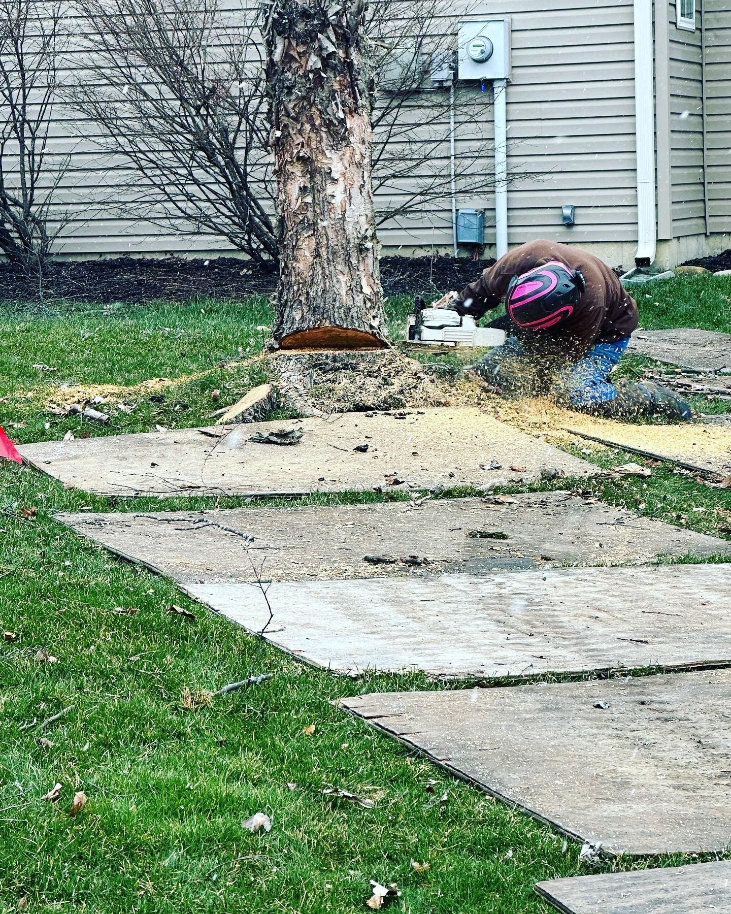 Person using chainsaw to cut tree stump on concrete path.