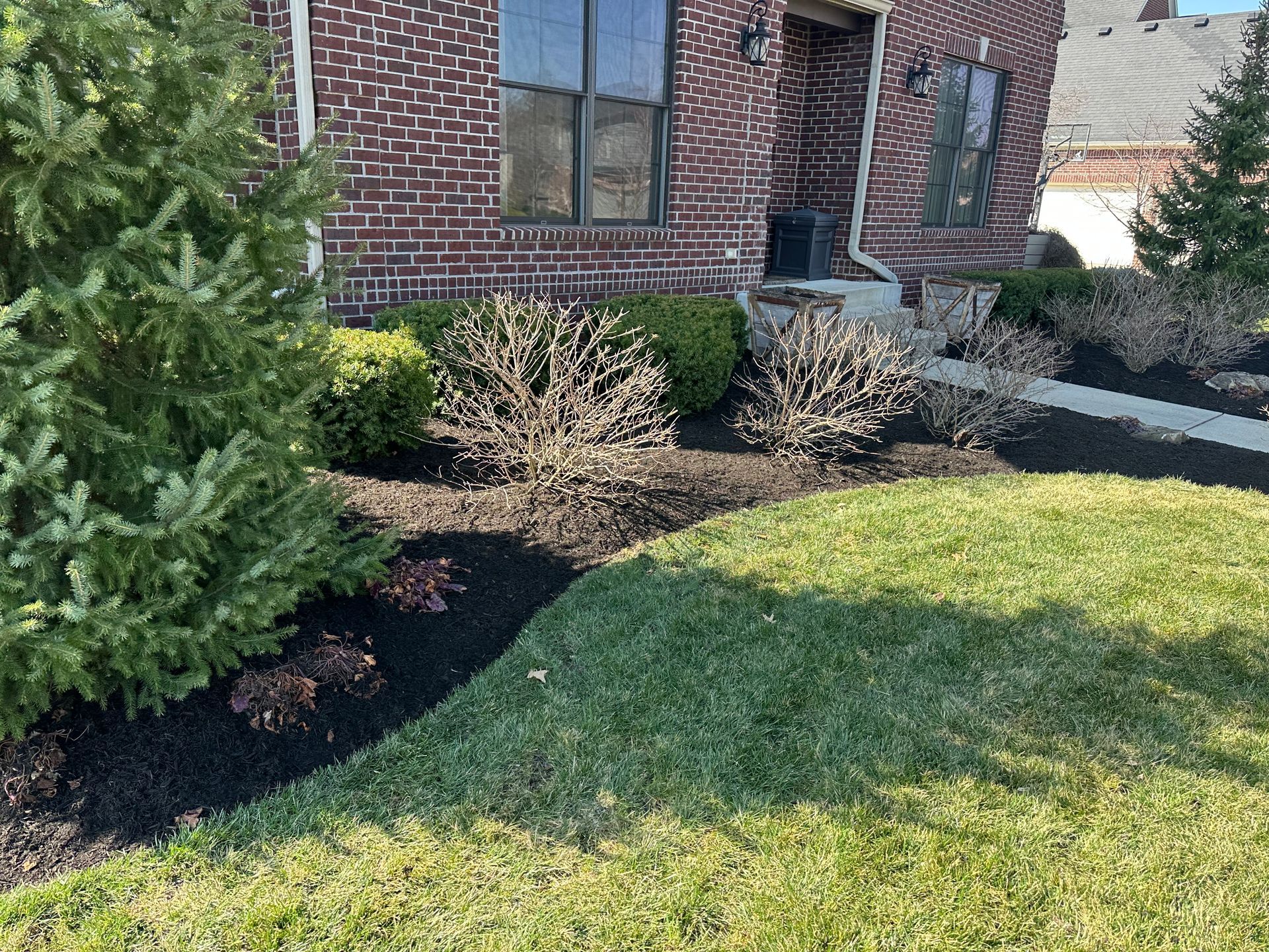 Green lawn bordered by black mulch with a brick house and shrubs.