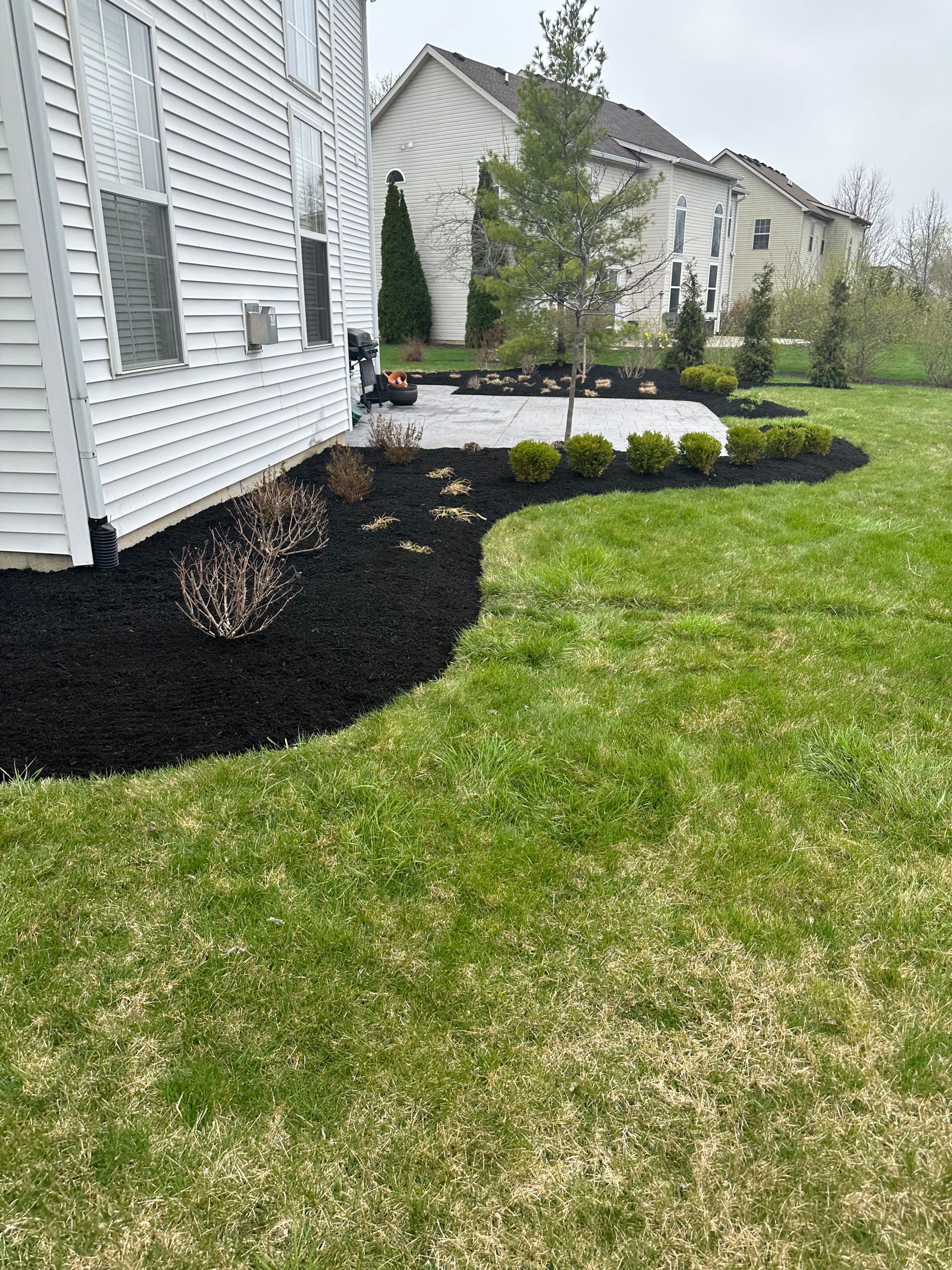 Backyard with a patio, landscaped beds with black mulch, and a grassy lawn.