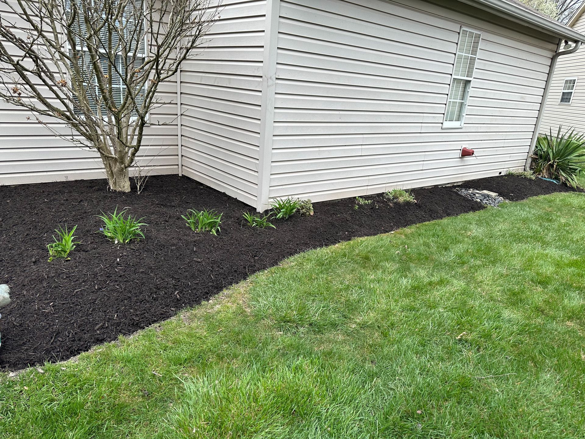 A house with dark mulch beds, sprouting green plants, and lush green grass in the foreground.