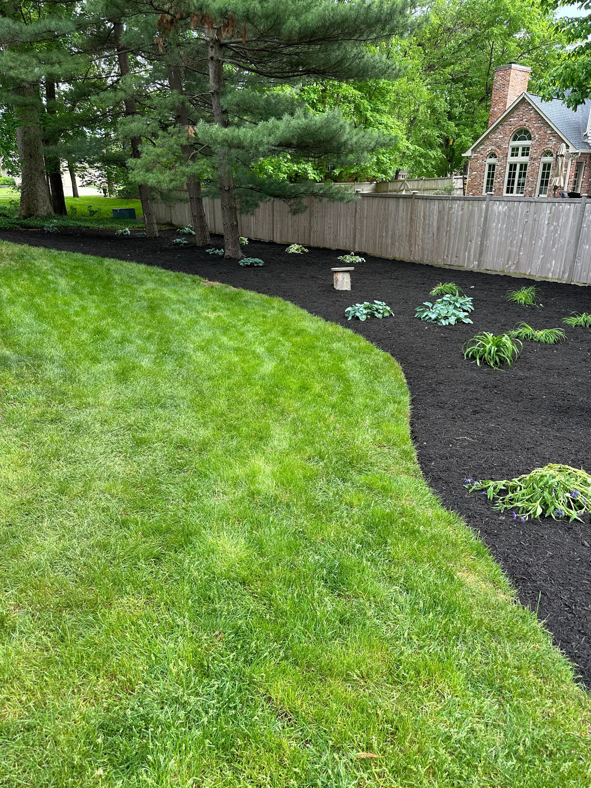 Green lawn curves along a black mulch bed with plants, trees, and a wooden fence in the background.