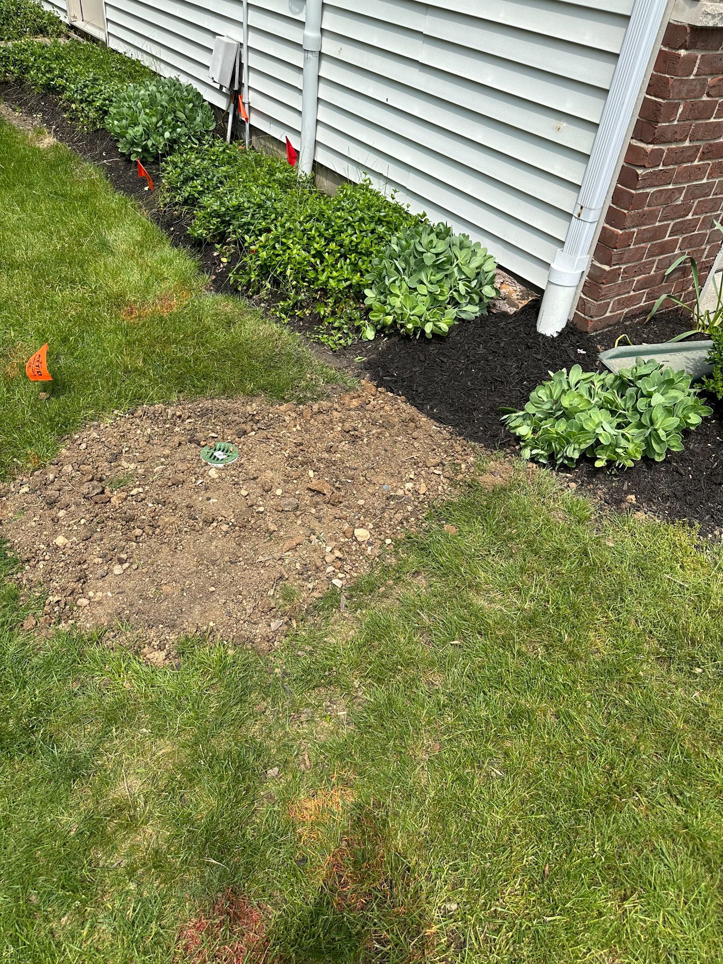 Lawn with a bare patch of soil, next to a house with landscaping and green shrubs.