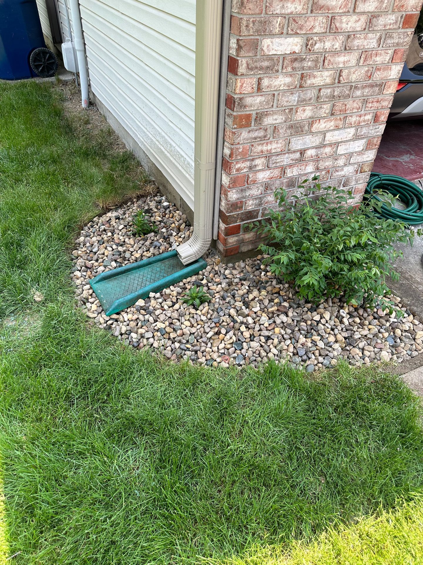 Green grass next to a bed of rocks, small plants, and a downspout by a brick wall and white siding.