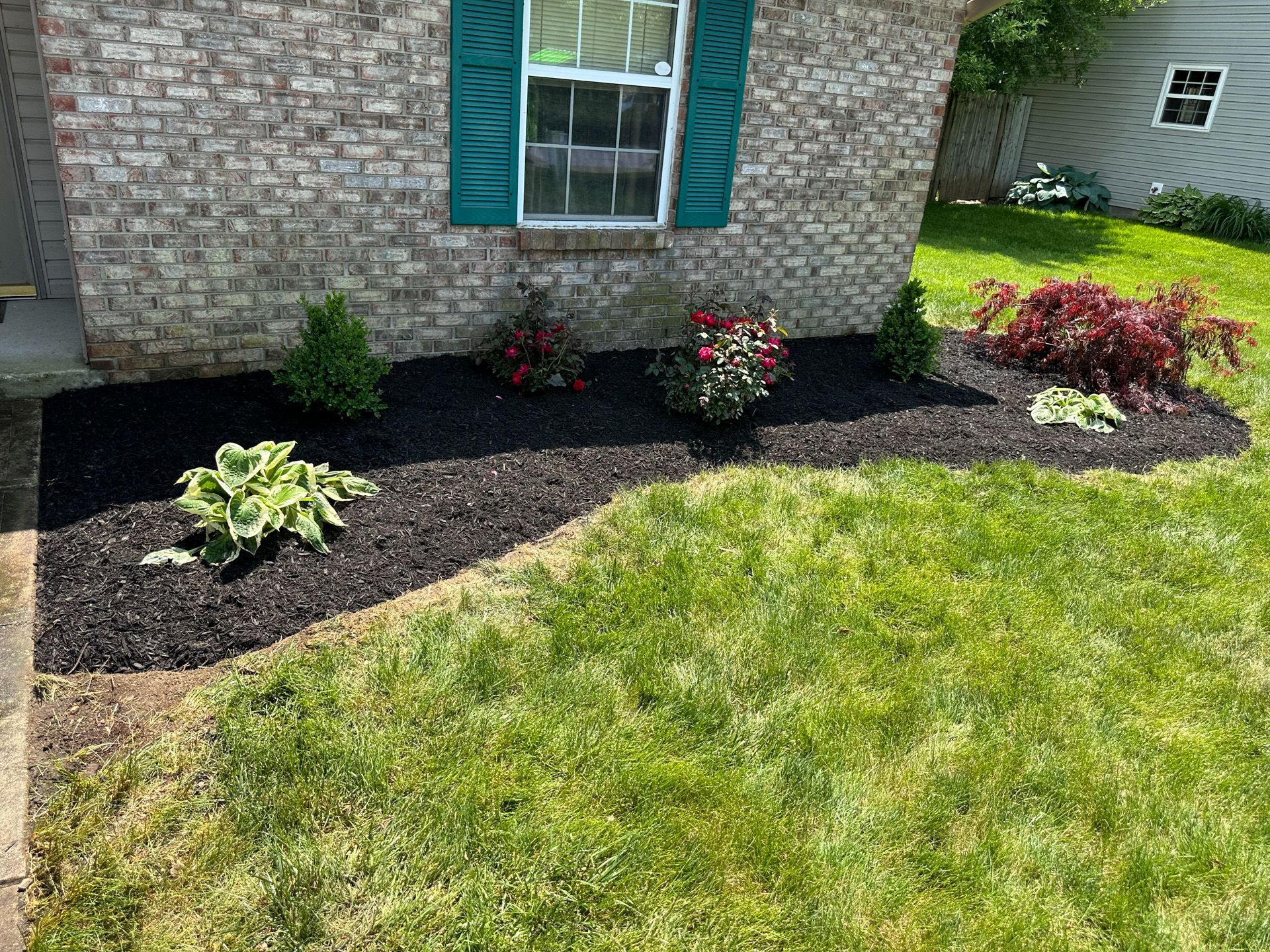 Flower bed with dark mulch, green plants, and red flowers in front of a brick house with green shutters.