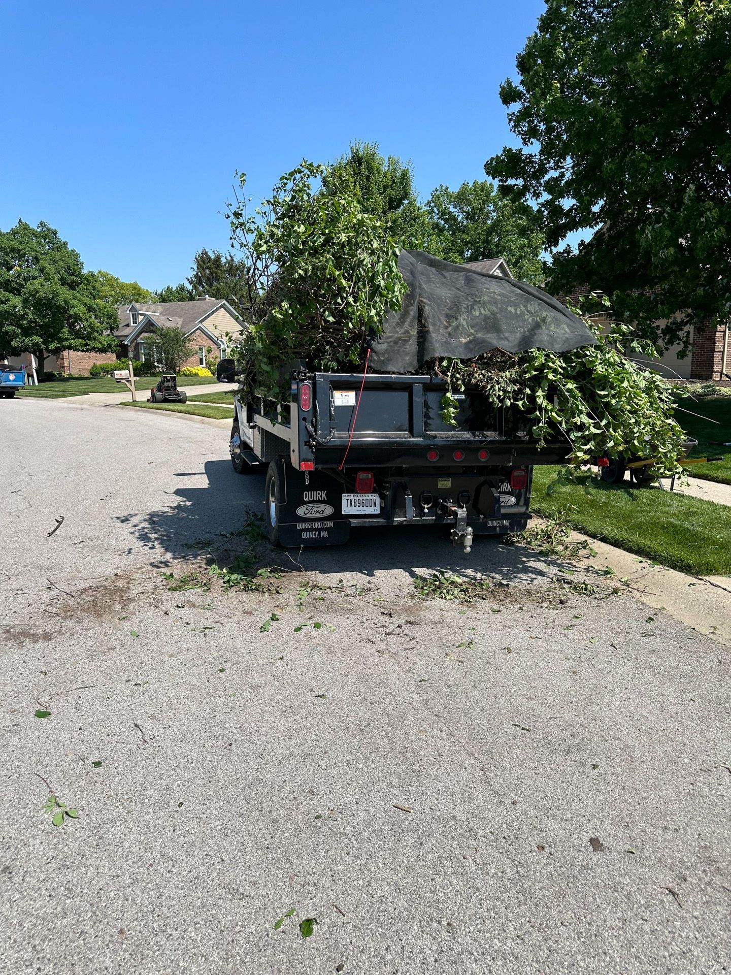 Truck bed filled with trimmed tree branches, parked on a street.