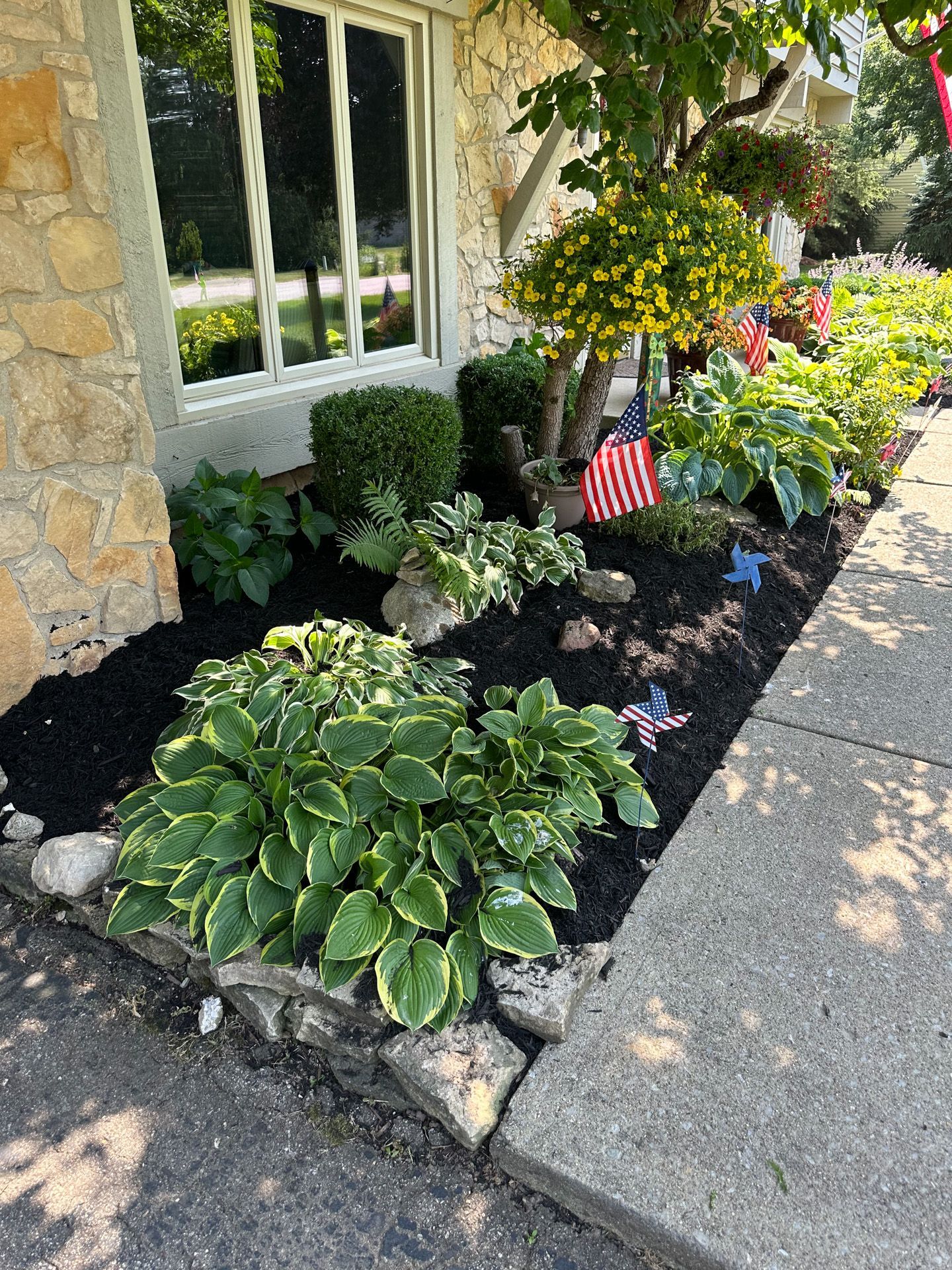 Well-maintained garden bed with hostas, shrubs, and mulch bordering a stone house, featuring American flags.