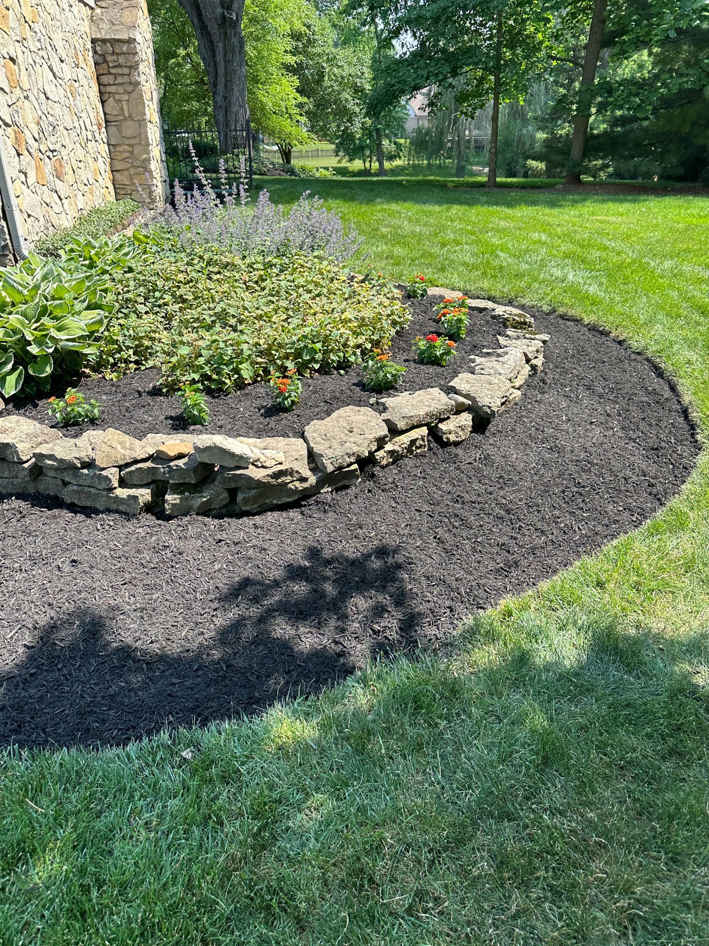 A garden bed with black mulch, a stone border, and flowering plants surrounded by green grass.