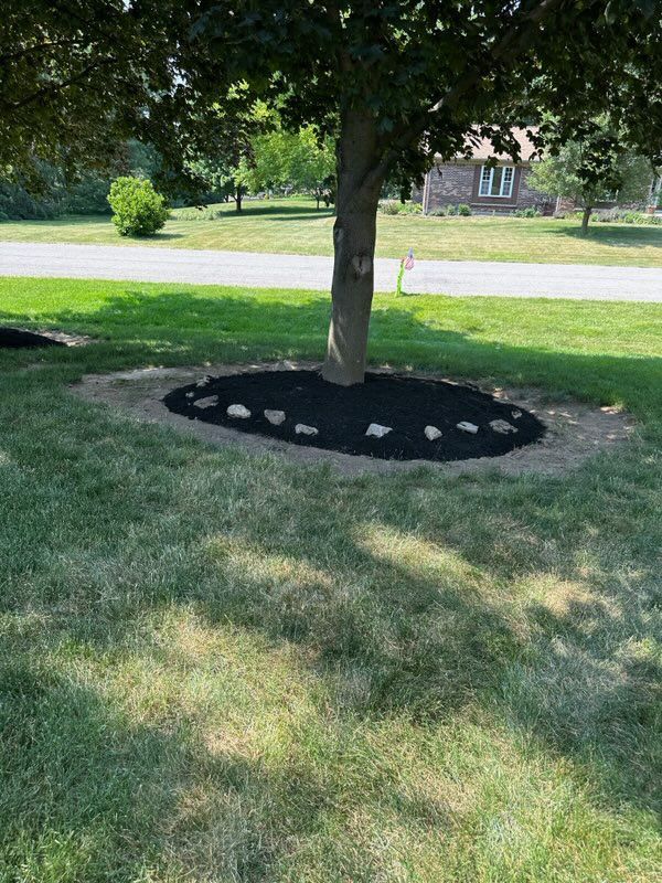 Tree trunk surrounded by black mulch and rocks in a grassy yard with a street and houses in the background.