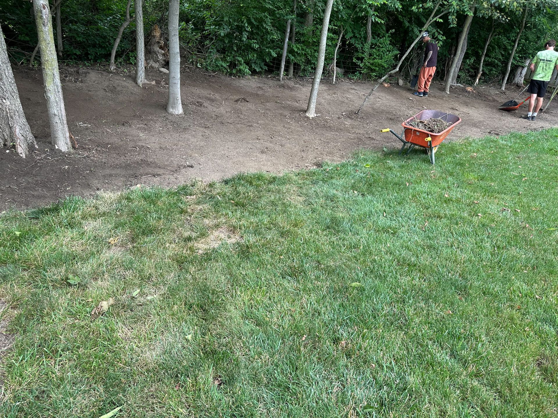 People working in a wooded area near a grassy lawn, one using a wheelbarrow, trees, and a path.