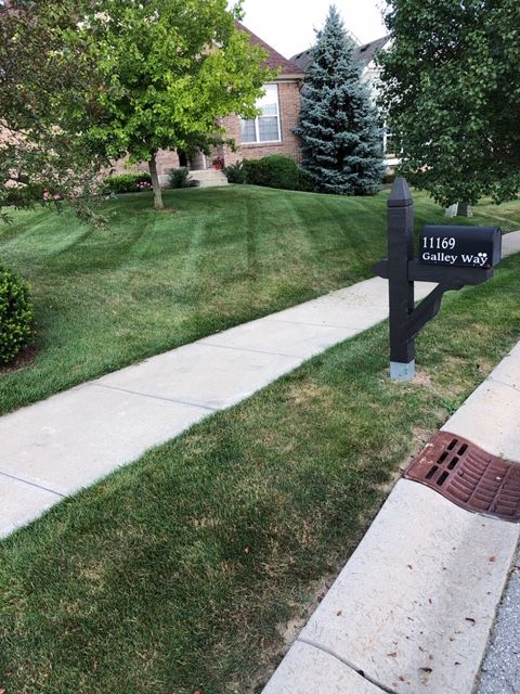 Sidewalk leading to house with green lawn, mailbox, and trees.