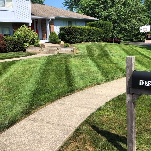 A well-manicured lawn in front of a light blue house with a concrete walkway and a mailbox.