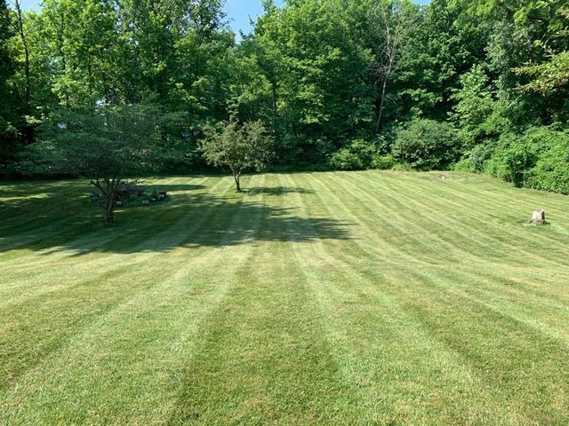 Lawn with fresh mowing stripes; small trees in the distance, framed by a lush green forest.