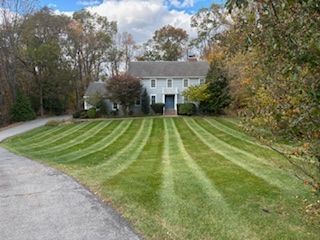 House with striped lawn; a driveway on the left leads to the house, surrounded by trees under a cloudy sky.