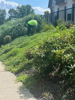 A man is mowing a lush green hillside next to a sidewalk.