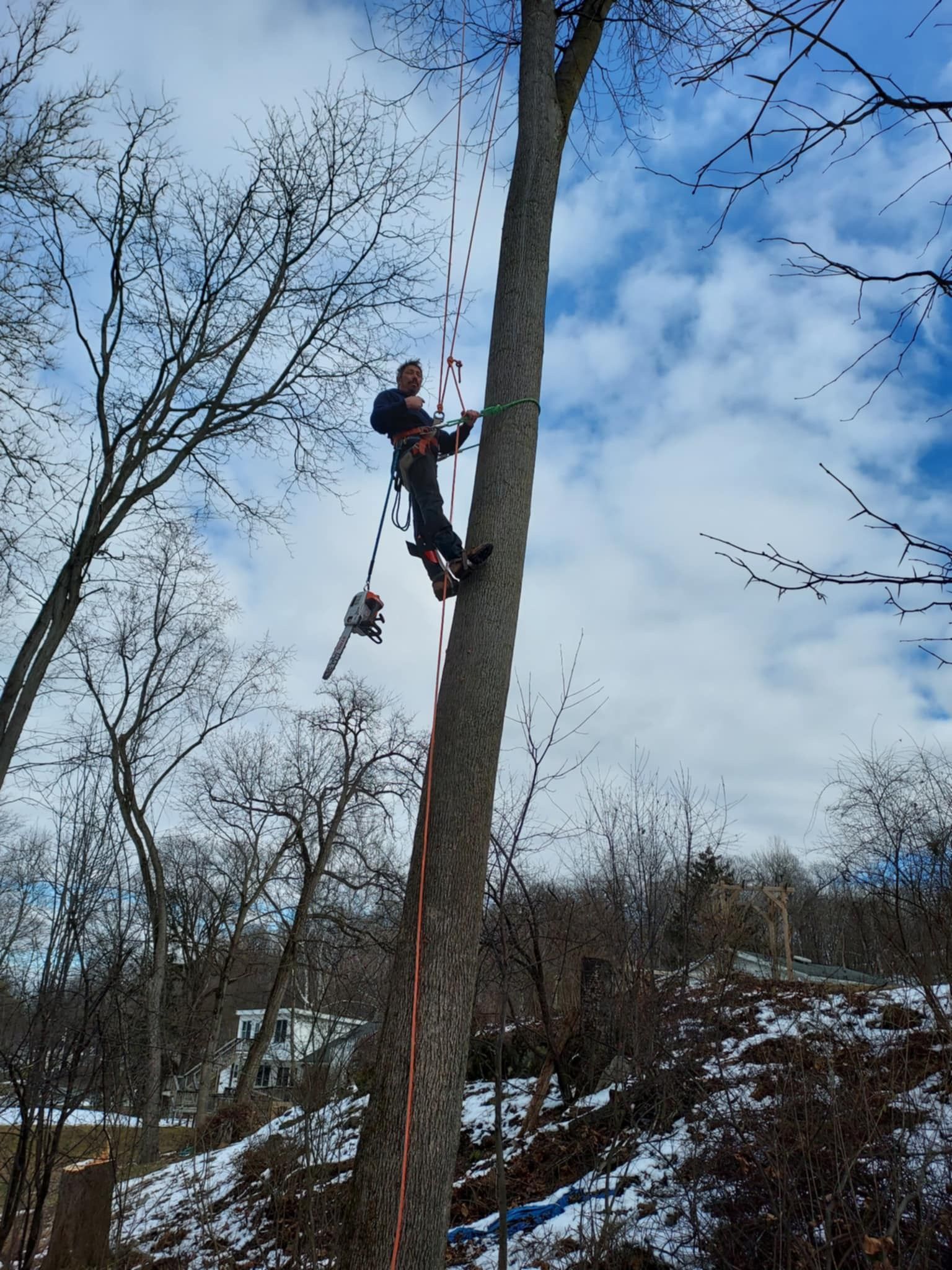 A man is climbing up a tree with a rope.