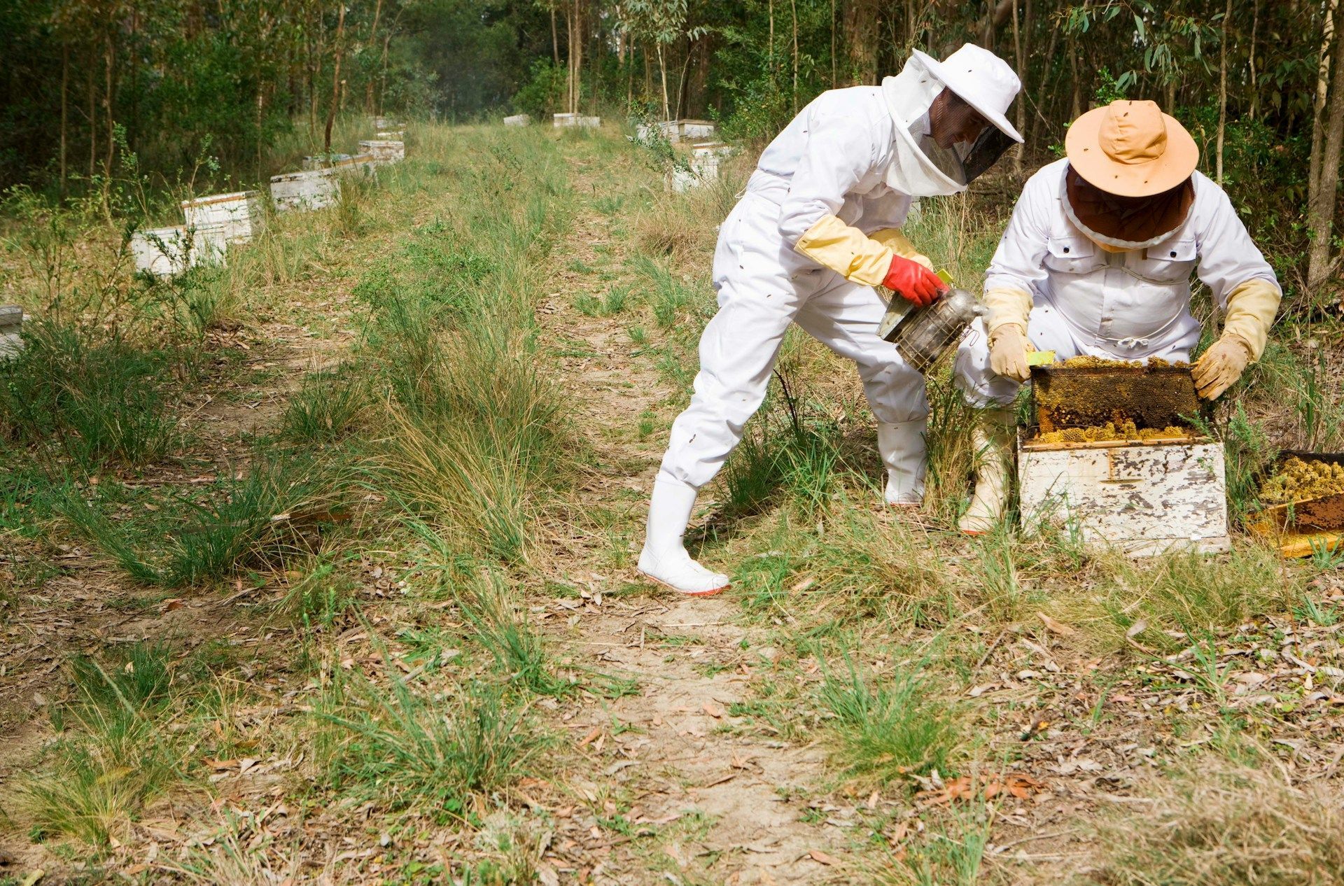 A white house with a porch and a chimney