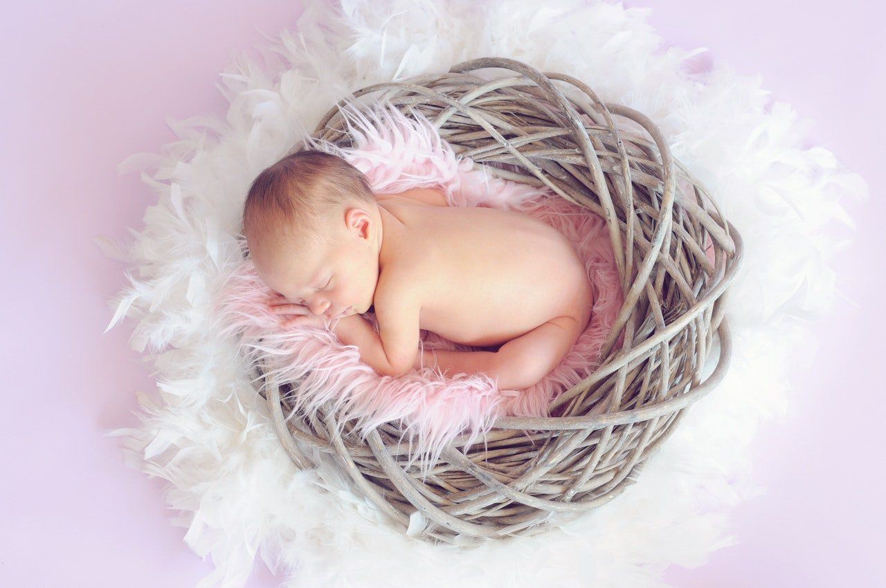 Newborn Photoshoot